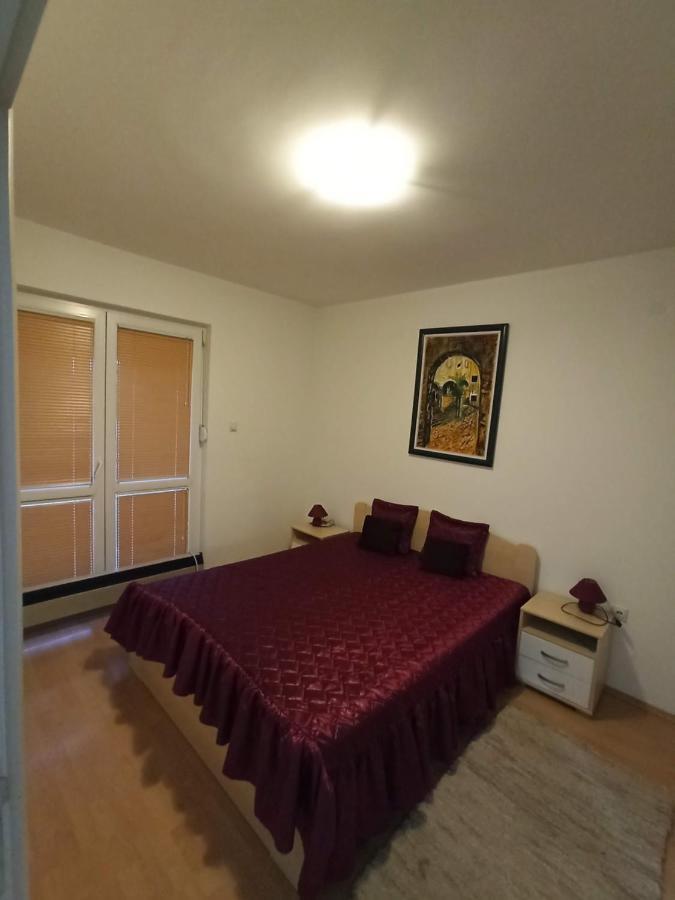 Apartman Savic Soko Banja Exteriér fotografie